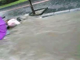 爆笑GIF动态图,爆笑gif图真正的危险总是悄然而至