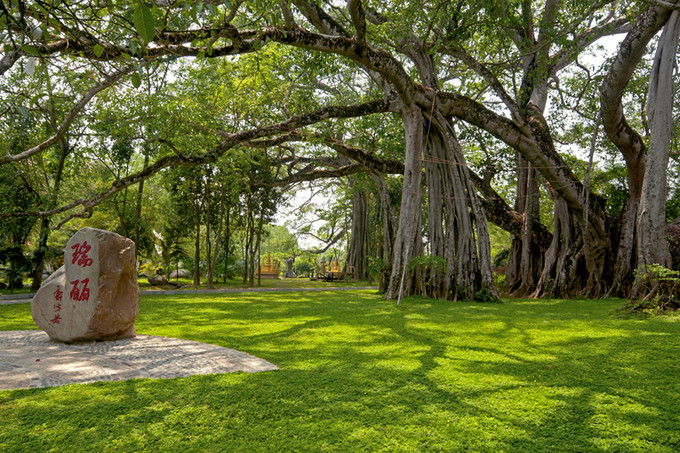 自驾游瑞丽攻略,游瑞丽攻略
