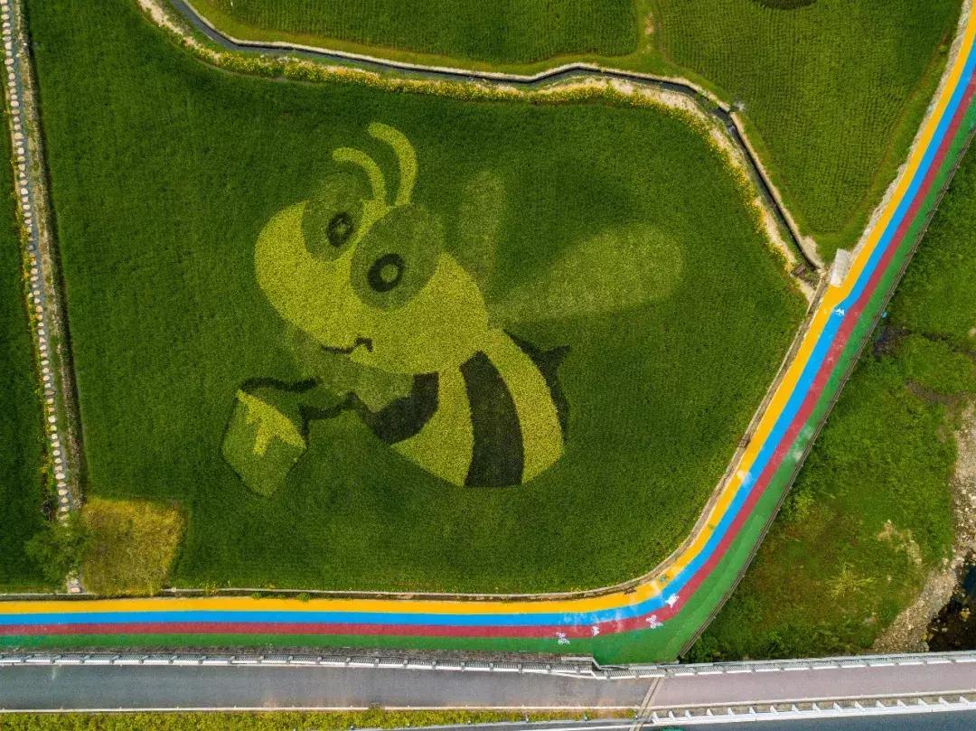 钱塘江画卷,钱塘江画作