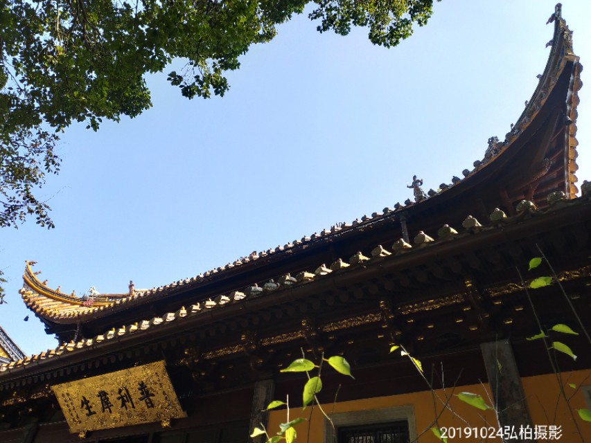 阿育王寺和白马寺,佛教阿育王简介