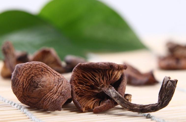 东北名菜小鸡炖蘑菇,东北四大硬菜公鸡炖母鸡