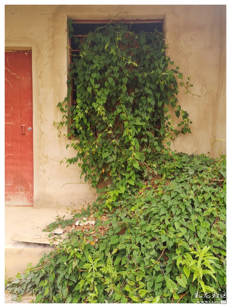 昆明大墨雨村攻略,昆明团结镇大墨雨村一日游