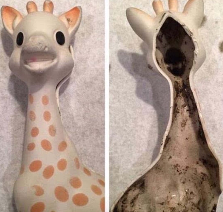 这四种零食小孩吃了更聪明,这四种东西最怕被孩子误食