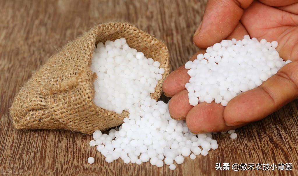 如何区别化肥硫酸铵和氯化铵,如何分辨硝酸铵尿素和碳酸氢铵