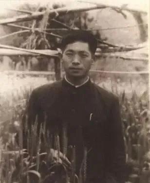 痛别！袁隆平院士逝世，原来他与龙岗有这么多故事……