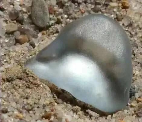 捡石头真的可以发财吗,石头捡到真能发财吗