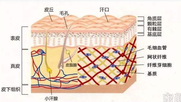 欧莱雅被列为不合格产品吗,化妆品巨头欧莱雅惹众怒