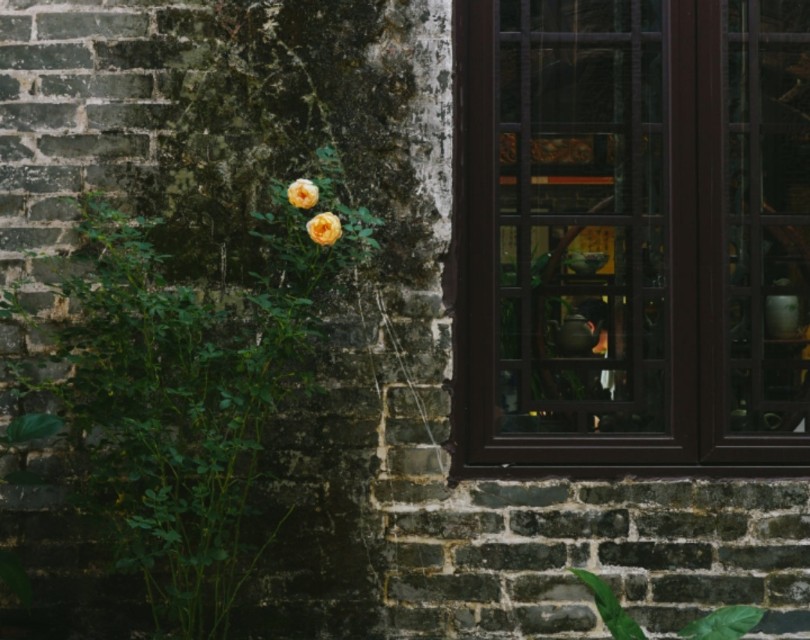 创业的逻辑和思路动画,创业的思路越来越清晰了