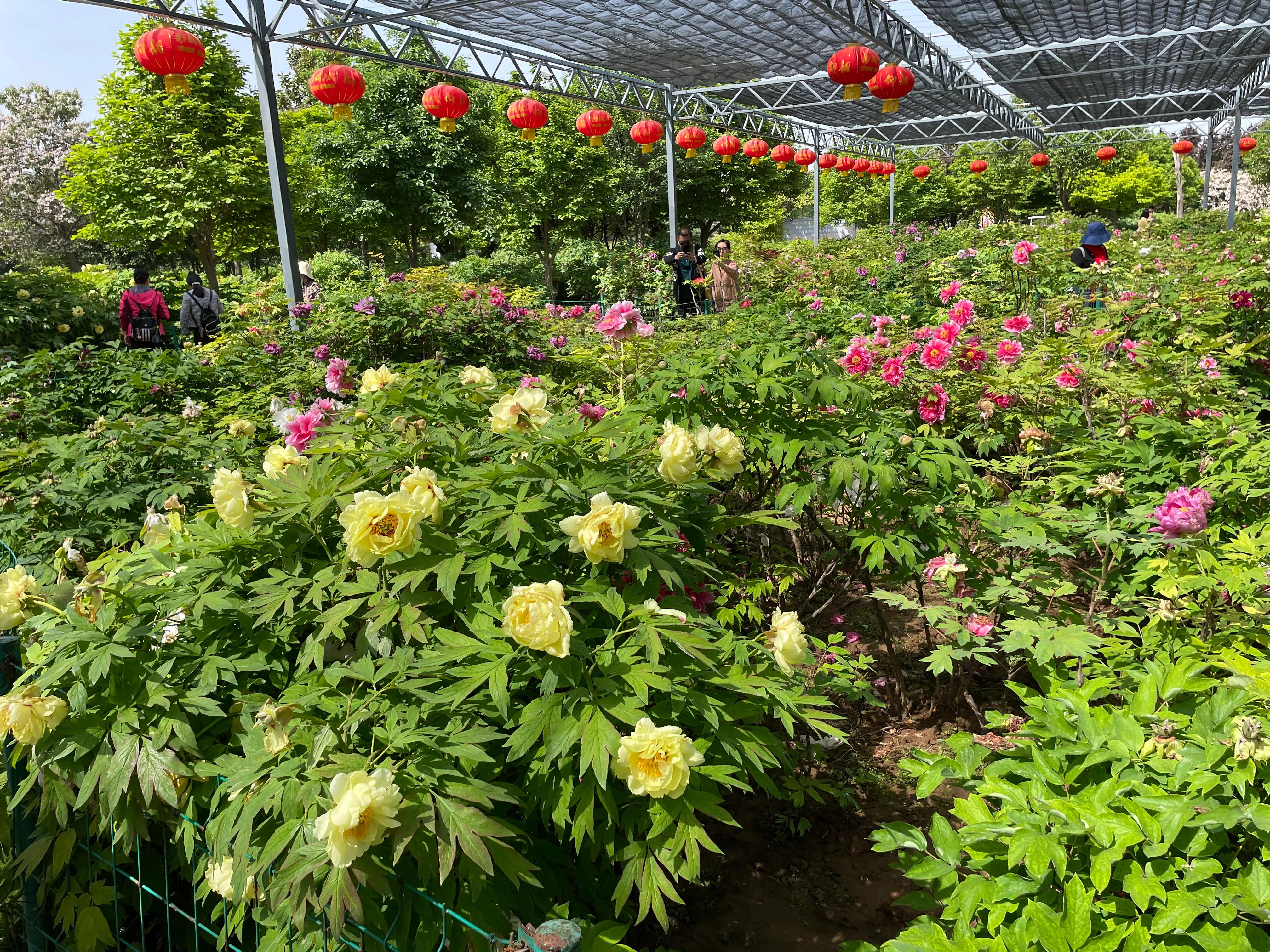 记录50岁的快乐之旅,30岁之前的生日之旅