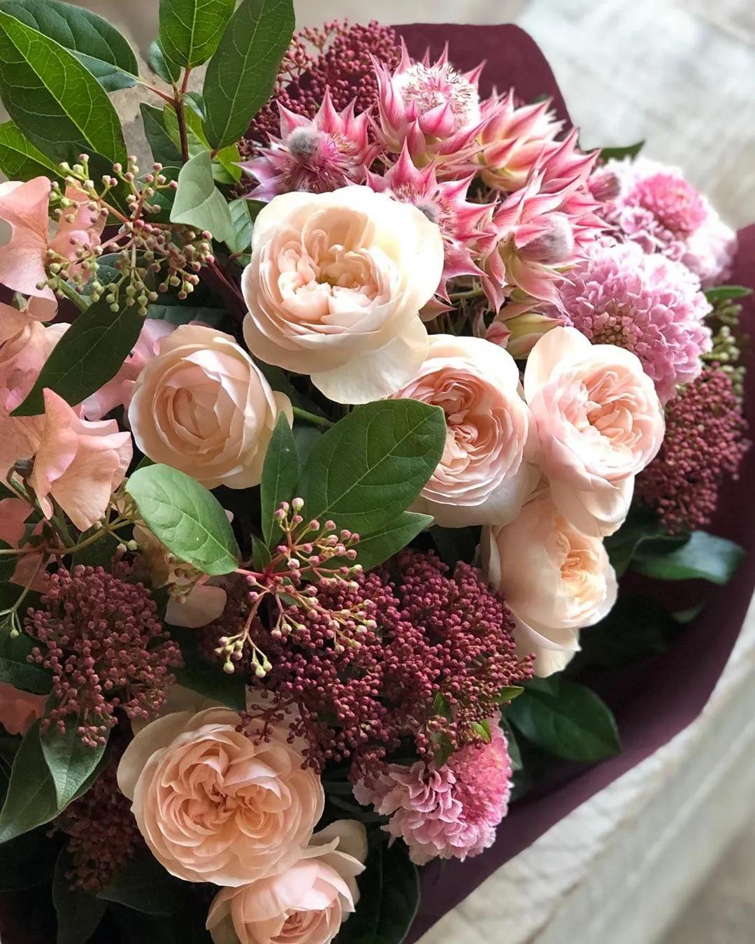 2019真实鲜花图片,2023鲜花爆款图文