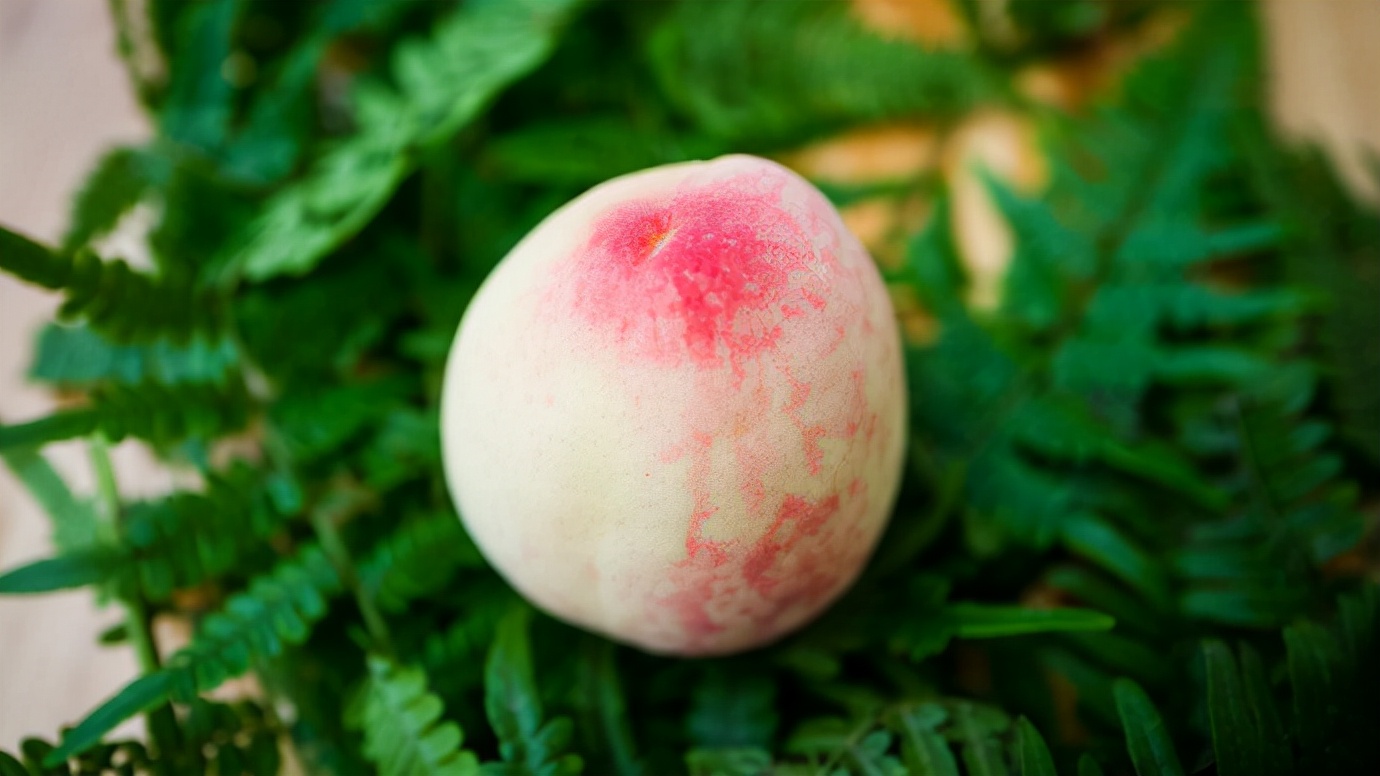 秋季多给家人吃“白色六宝”,润秋燥养护肺,应季而食才舒适