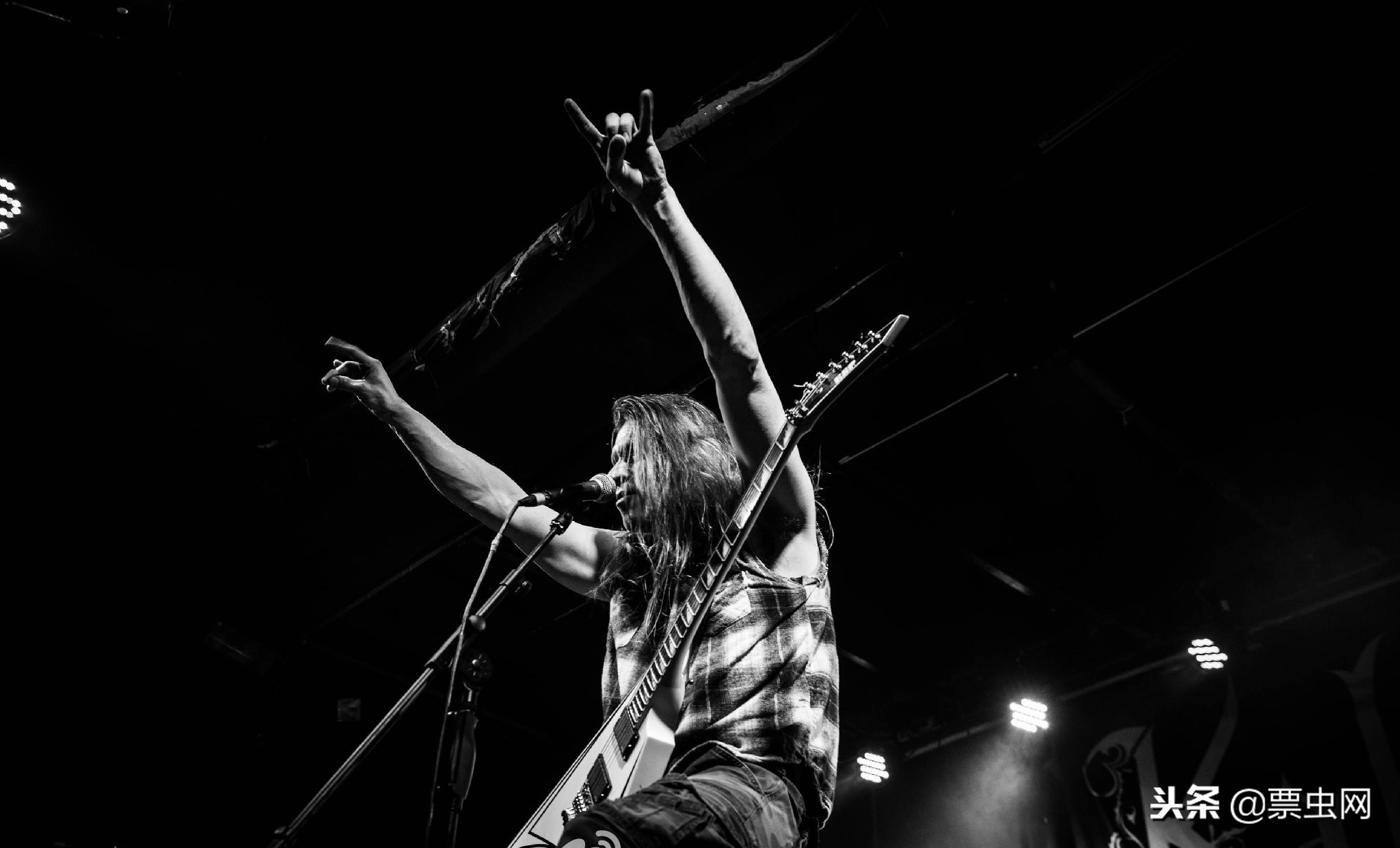 沼泽之王全集,沼泽之王kalmah