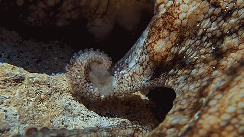 人鱼情未了在线阅读,人鱼情未了电视剧免费观看