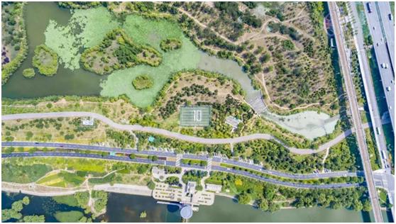 百米长卷绘中华童心,百米画卷绘祖国亲子活动幼儿园