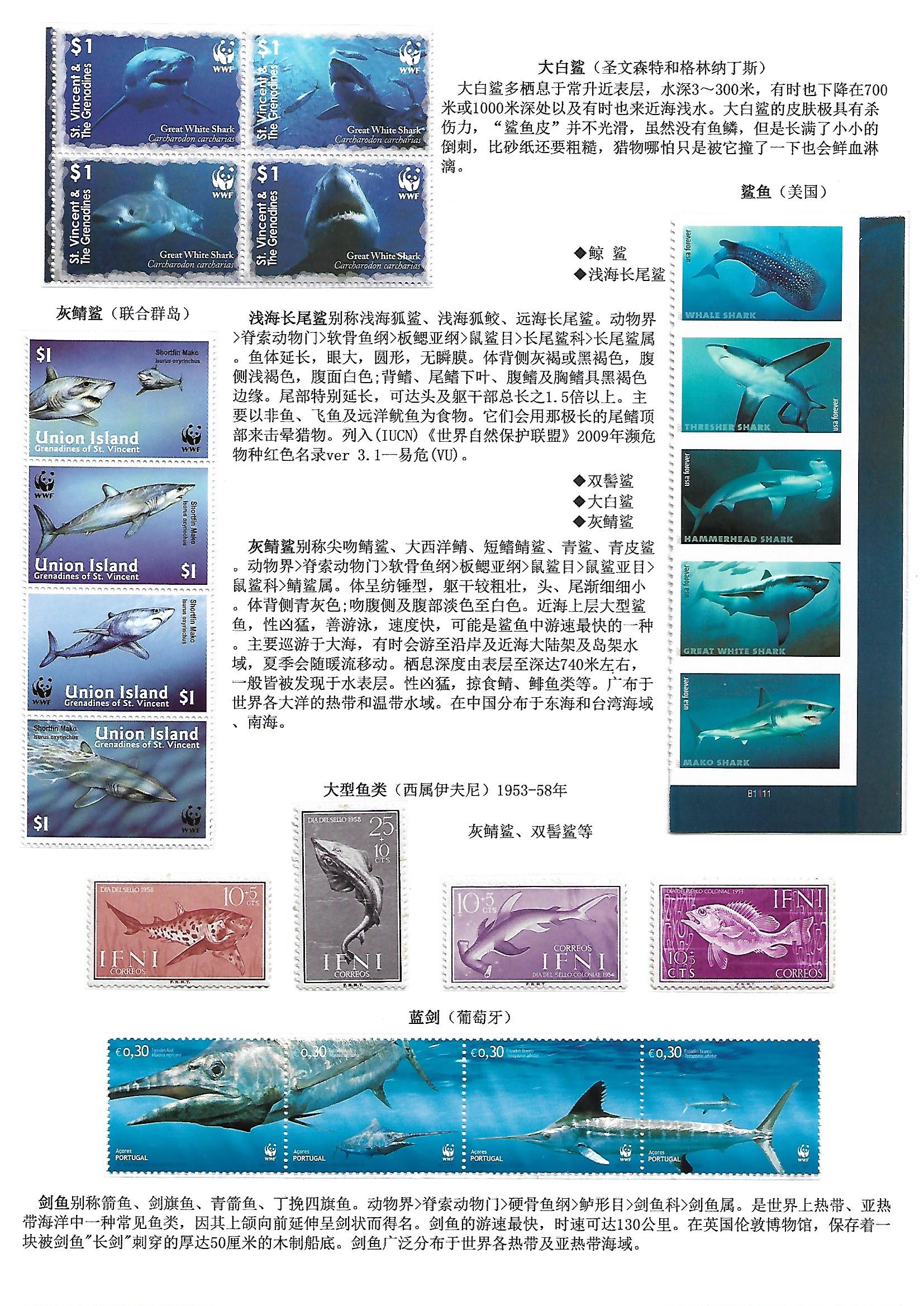 鲸和鲨（WhaleShake）