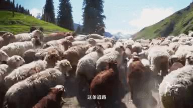 我国旅游日,中国旅游日5.19意义