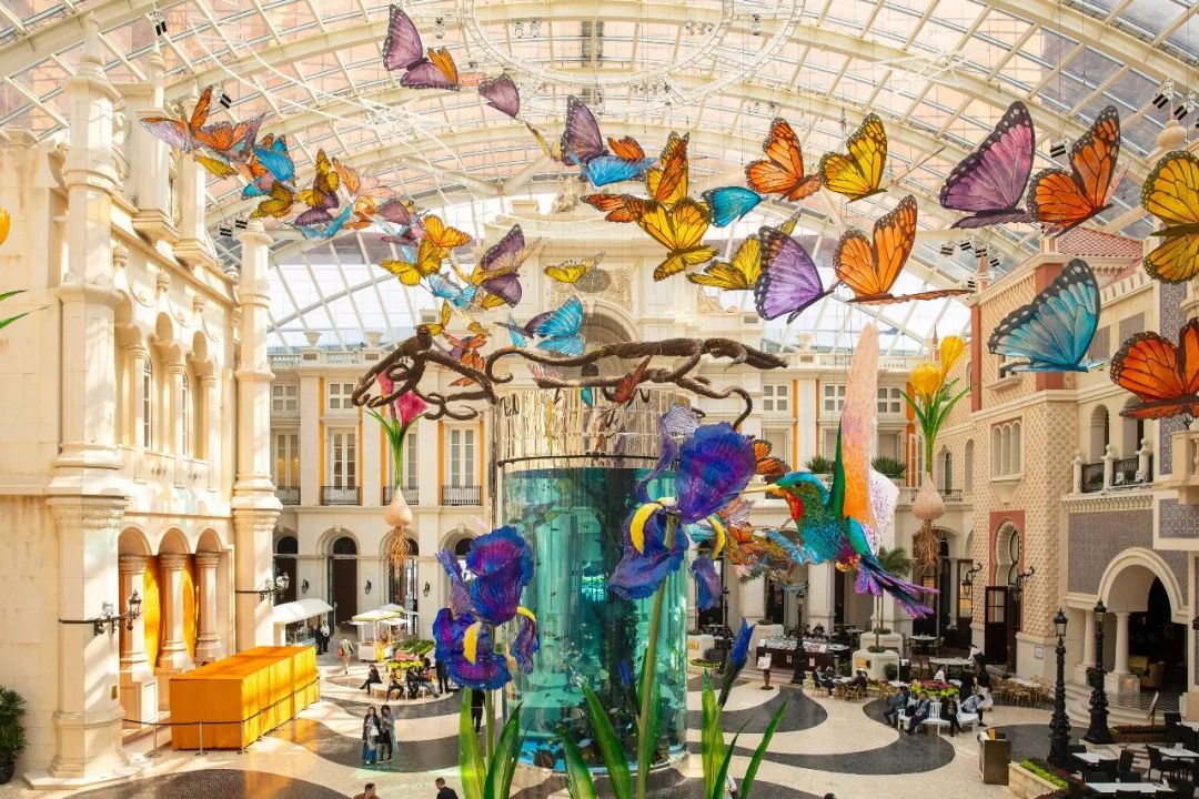 澳门赌场旅游攻略自由行,澳门免费游