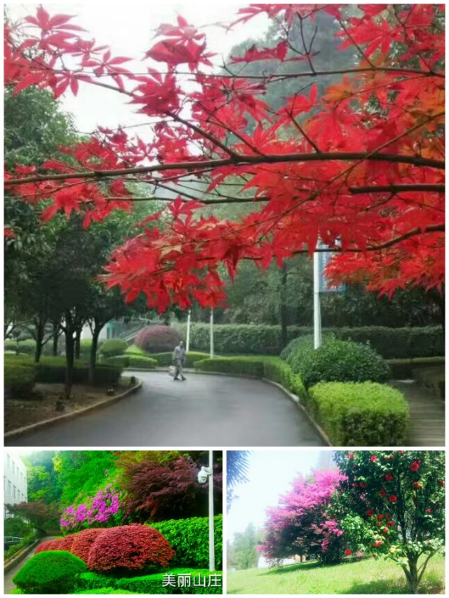 芙蓉国里尽朝晖三湘四水好风景,同升湖通程山庄大酒店还在营业吗