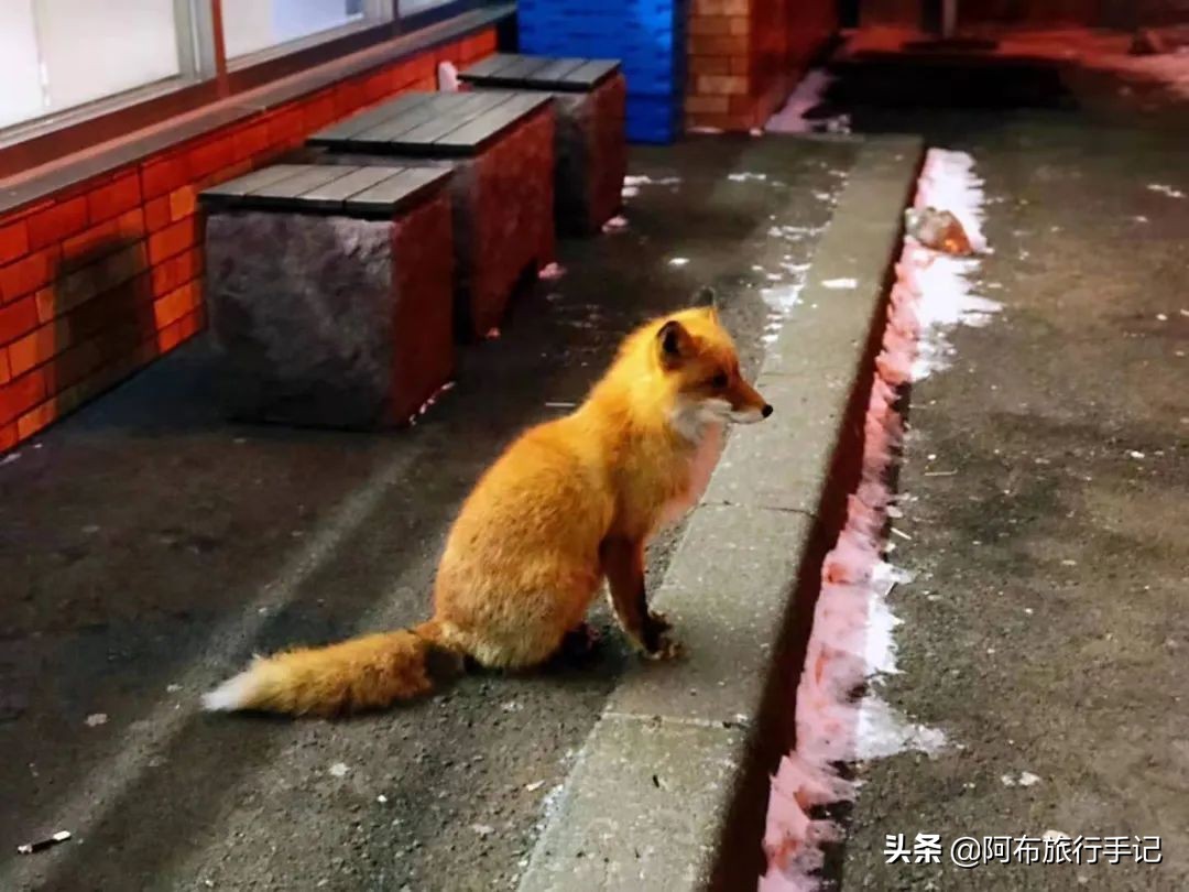 豆瓣9.1分看哭百万人,豆瓣评分9.0却很少有人看懂