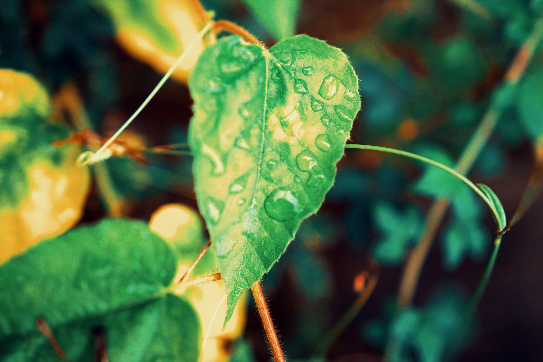 男人如何吸引女人？女人如何吸引男人？学习一下这6条吸引力法则