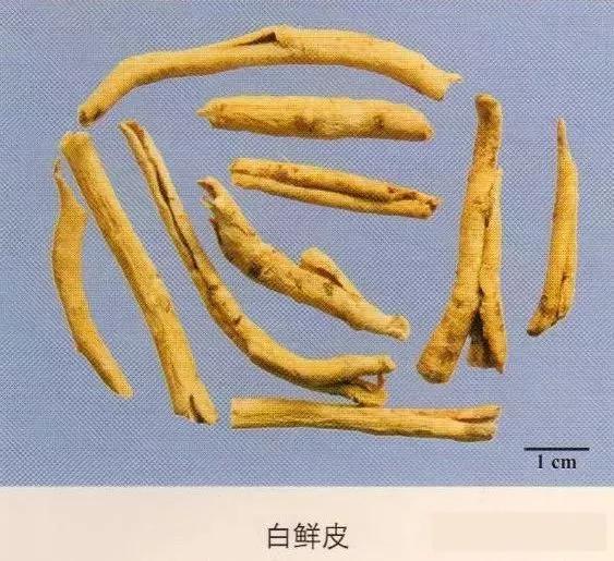 中药材图片大全大图带药名,200多味中药材图谱带图