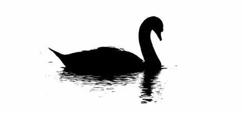 疫情投资哪些板块,疫情即将结束适合投资吗