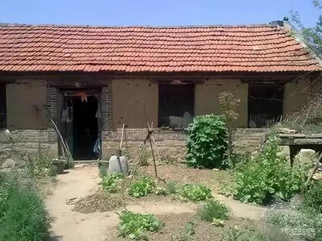 瘦驴拉硬屎意味着什么,瘦驴拉硬屎怎么回事