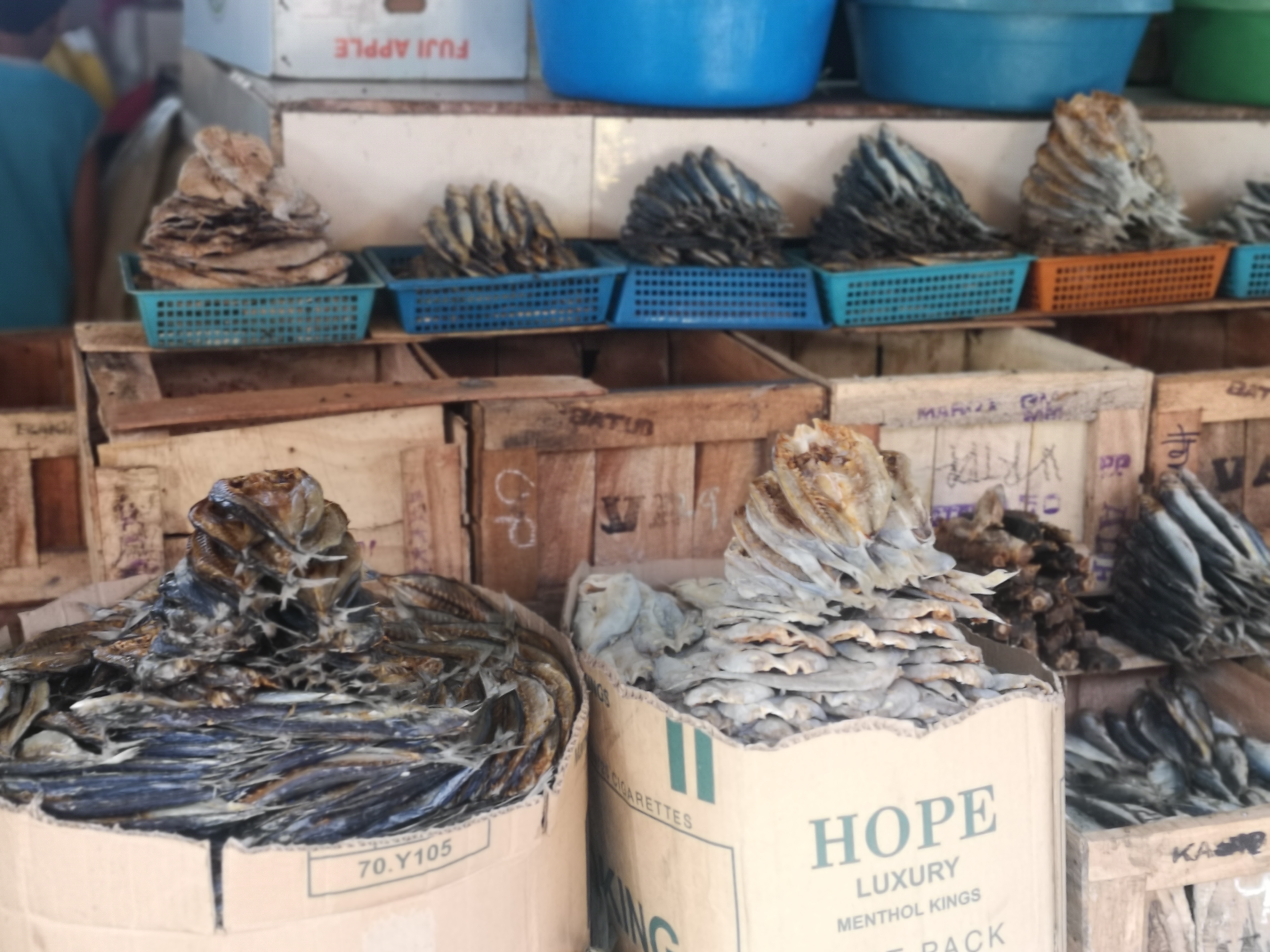 带你看菲律宾的海鲜市场,菲律宾海鲜市场最新行情