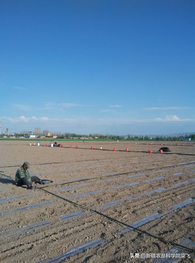 灌溉水含盐量高怎么办,灌溉水水质碱性高如何调节