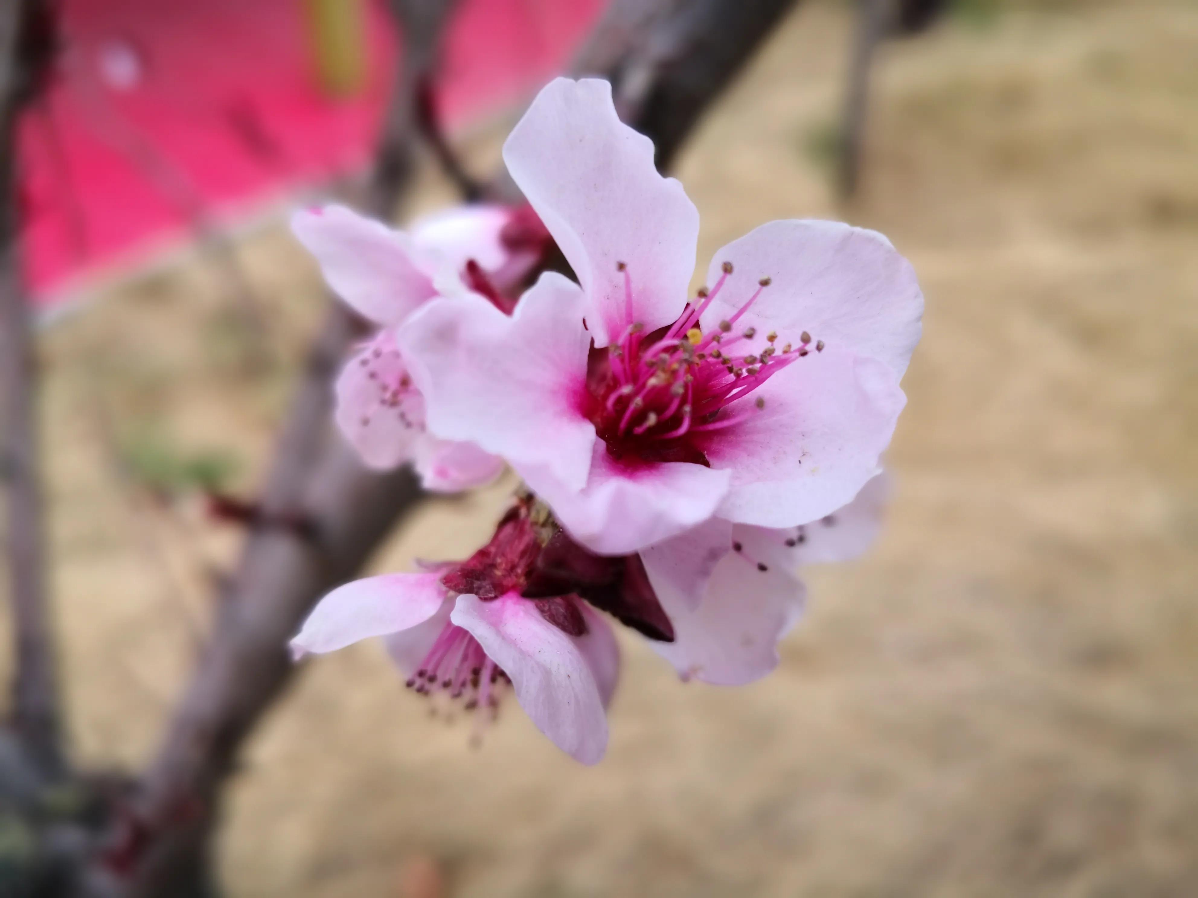 打太极教学课程,太极进课堂