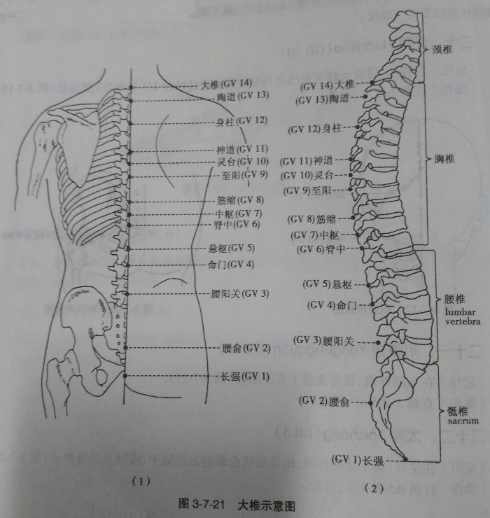 颈椎病平时怎样锻炼,颈椎病一直不好能锻炼吗