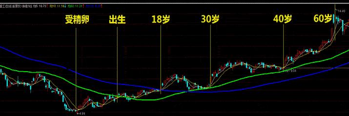 揭秘股市短线,解读股票趋势技术分析视频