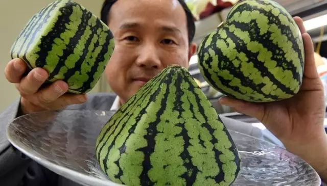 日本人就从来不抱怨苹果太贵