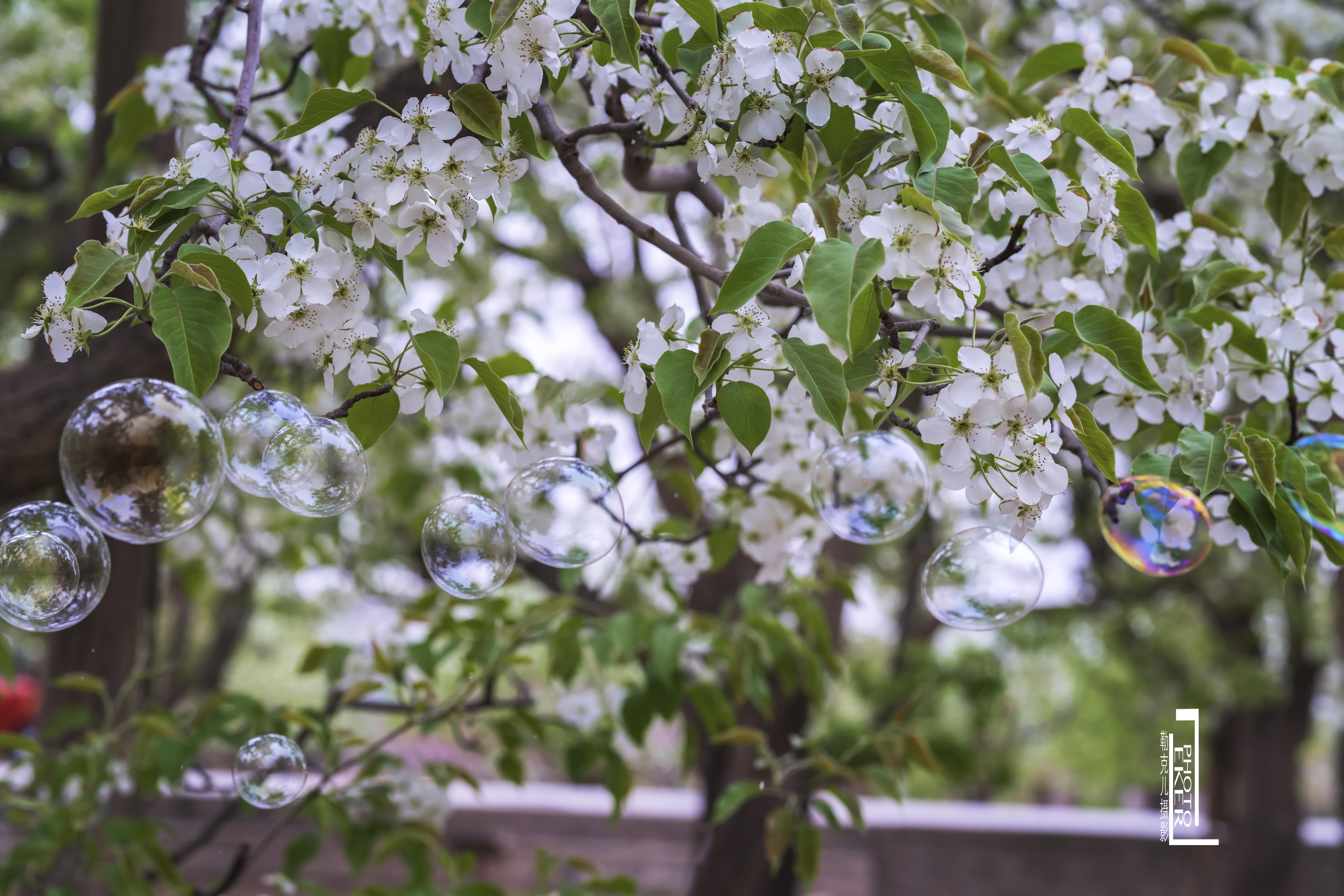 大西北戈壁滩怎么形成的,我国西北地区大戈壁滩形成原因