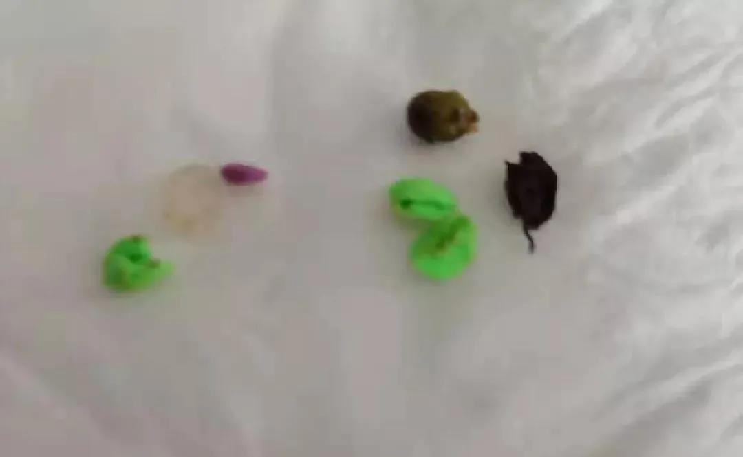 小男孩模仿孙悟空结果死亡,六小龄童年轻时模仿孙悟空说话