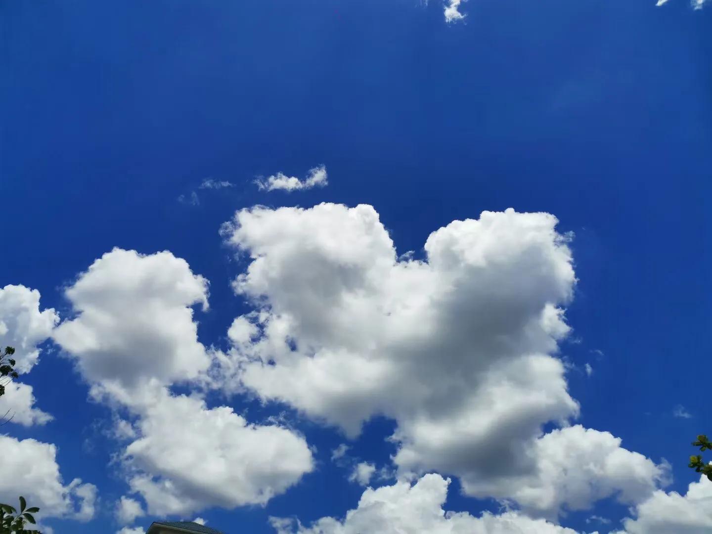 对癌症非常有帮助的书籍,外国的一本自我治疗癌症的书籍