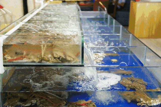 南宁吃螃蟹店推荐哪家,南宁十大蟹神店