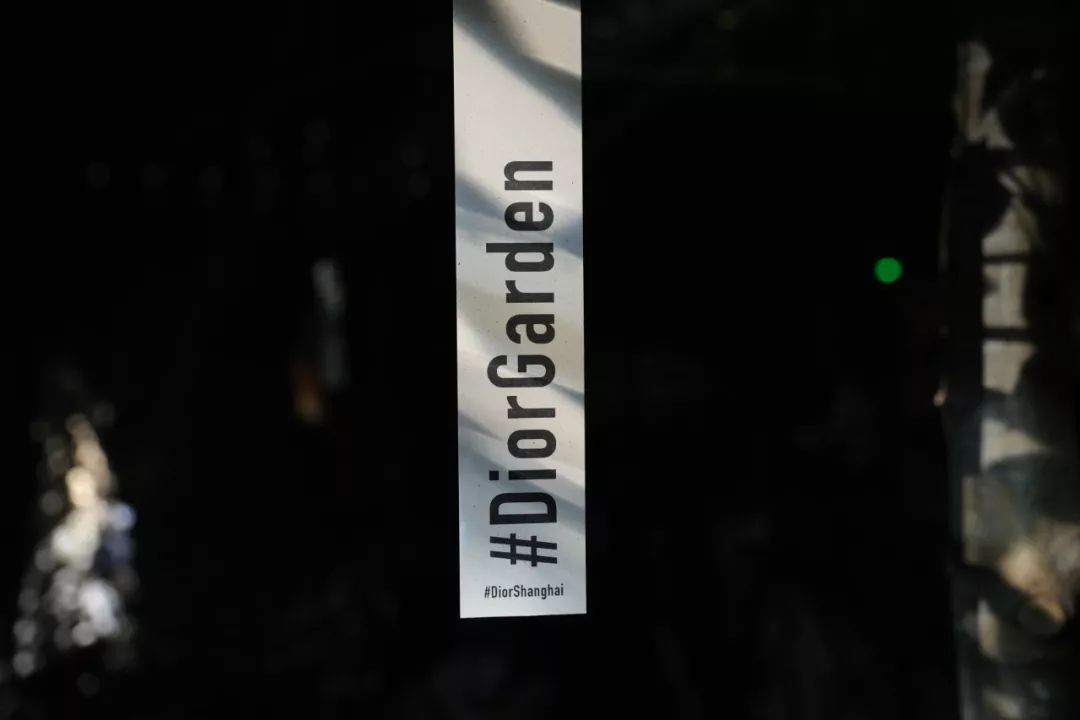 dior值得买的马鞍包是哪款,dior最好的十款包