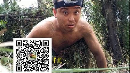 野外生存中木炭的作用和功效,木炭的用途及其对应的性质