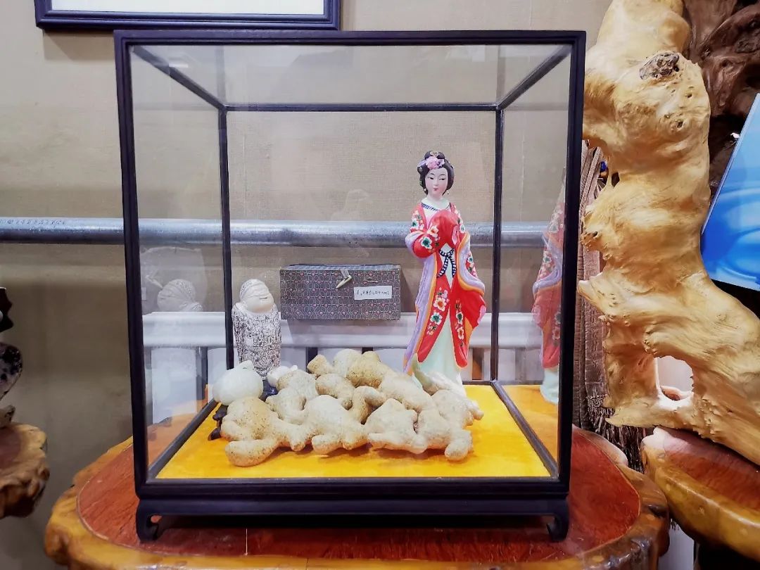 奇石馆天津,国宝级奇石展览馆