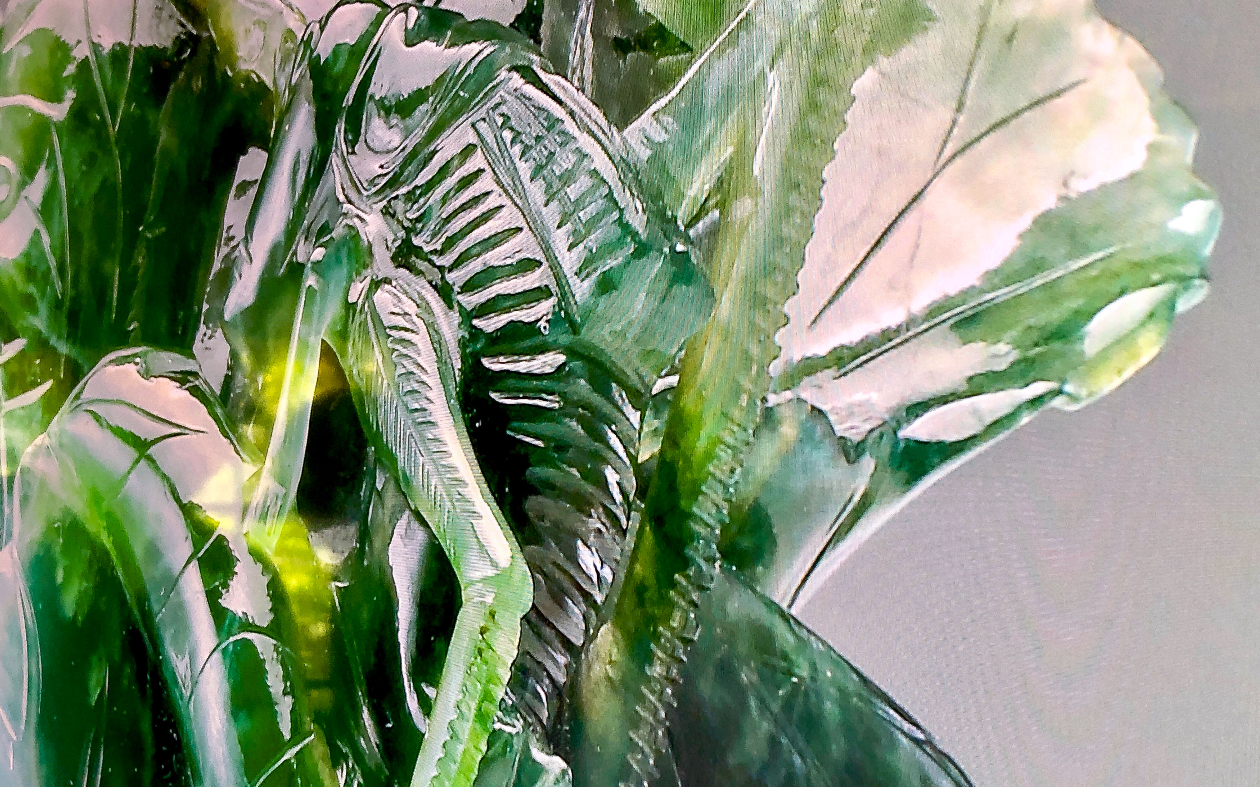 从消费者角度分析产品,夏普巨幕8k电视怎么样