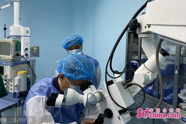 国医大师石学敏工作室,国医大师石学敏中央台