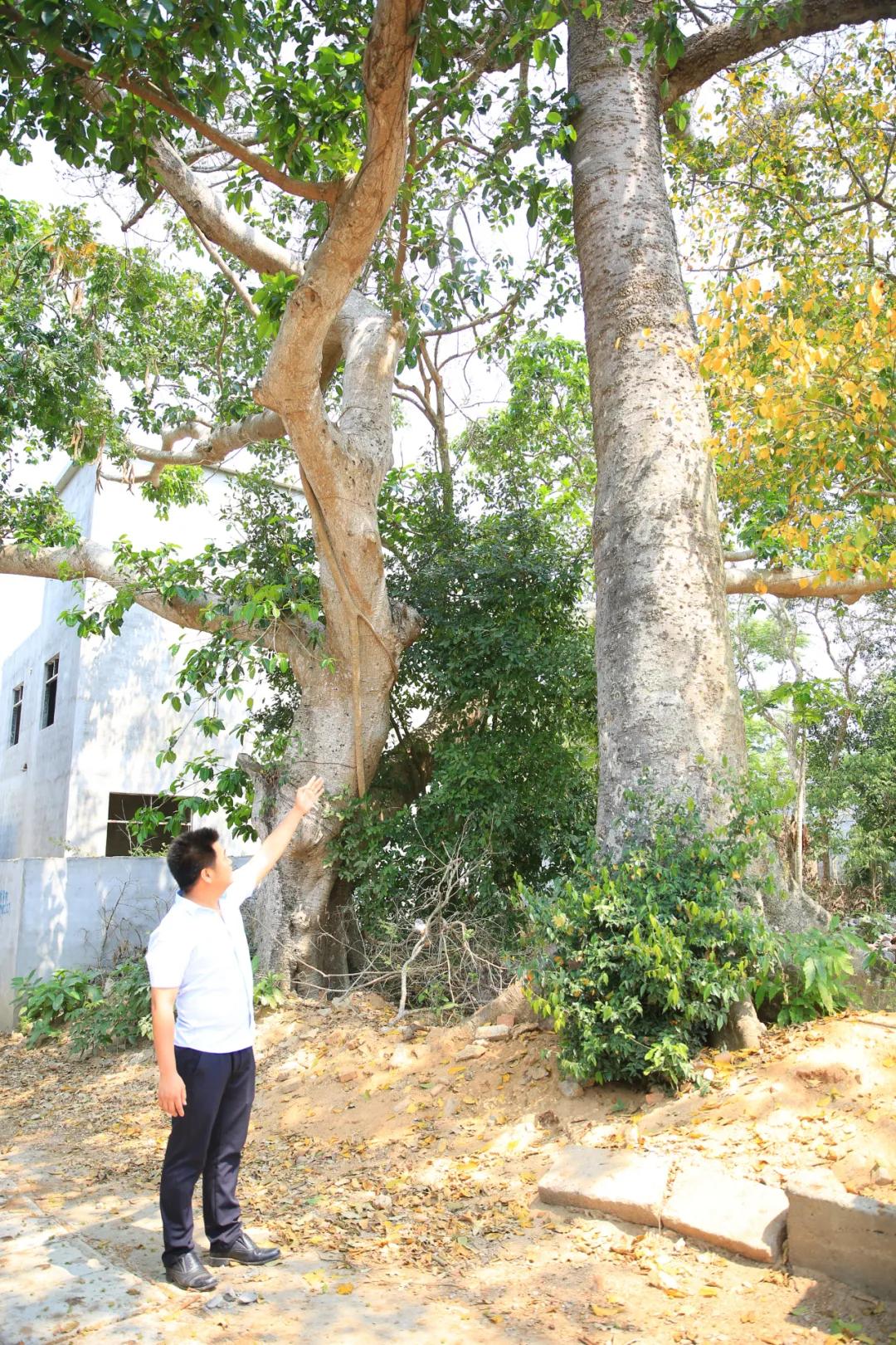 奋斗百年路启航新征程丨红色堡垒水井村！