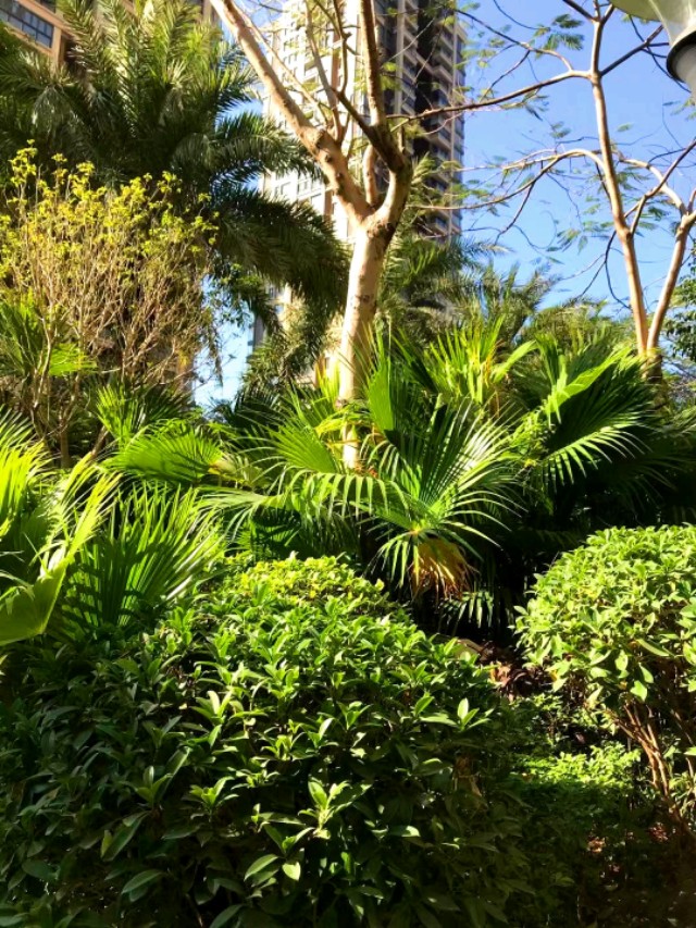 传说中的金沙,金沙世纪城最好小区