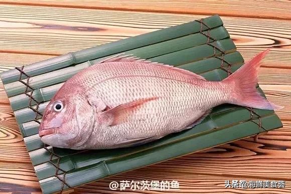 32种经典寿司做法视频,寿司常用的鱼