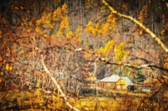 最美边境公路自驾游攻略,国内最美沿海公路自驾游