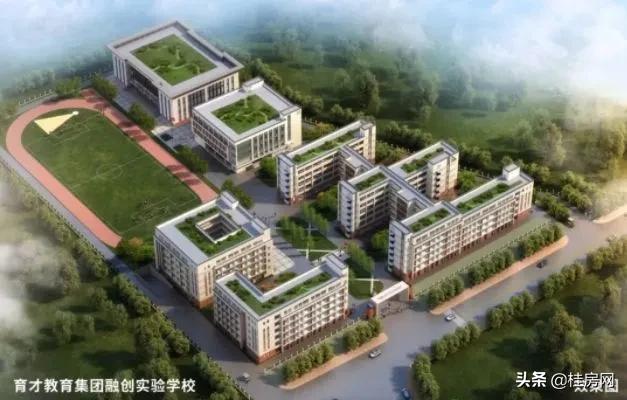 桂林市九年一贯制学校,桂林市2024年初中招生政策