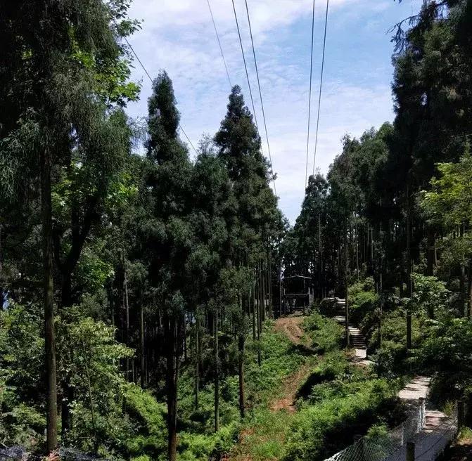 成都小众网红打卡地,成都最值得去的小众打卡地