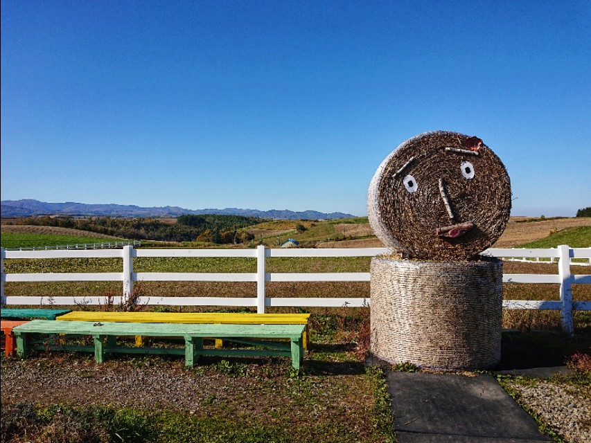 北海道登别到美瑛町需多久,日本北海道美瑛川的雪景