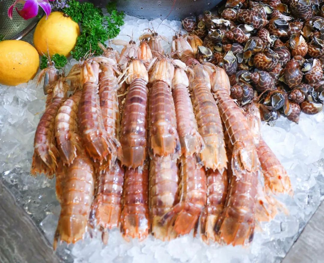 中山生蚝刺身自助,生蚝刺身自助西安